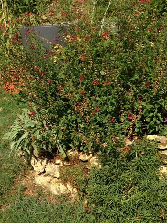 Les Camelias Bed and Breakfast Lalinde Buitenkant foto