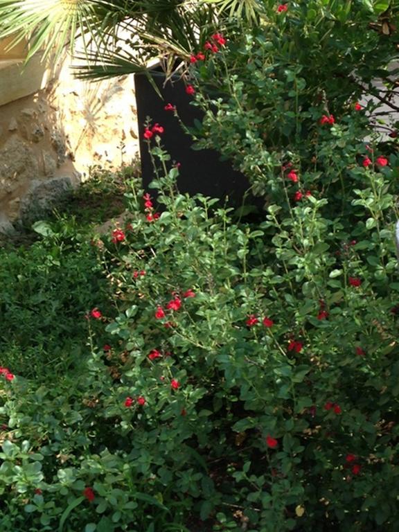 Les Camelias Bed and Breakfast Lalinde Buitenkant foto